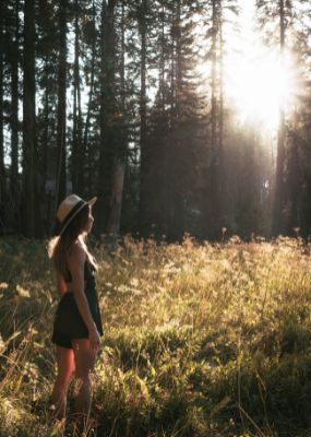 words to use for manifestation dreams