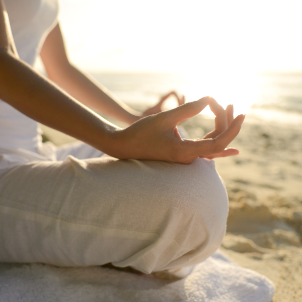 trauma healing - reconnect